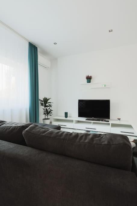 Ambassador Apartment Baia Mare Eksteriør billede